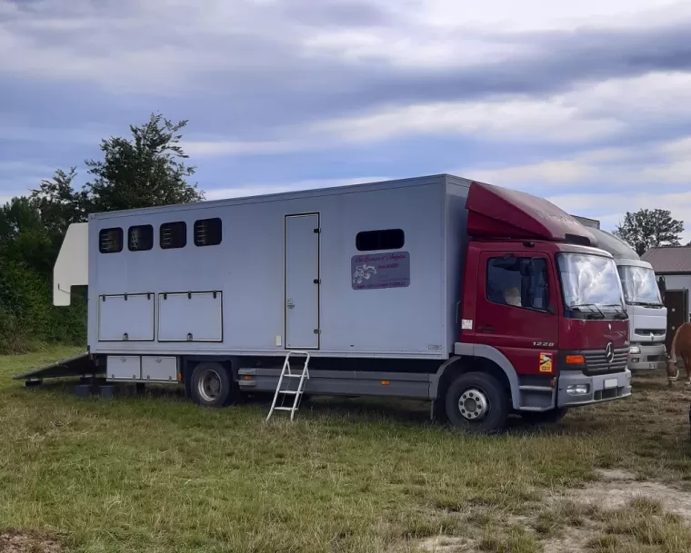 Camion de chevaux Mercedes Atégo 1228