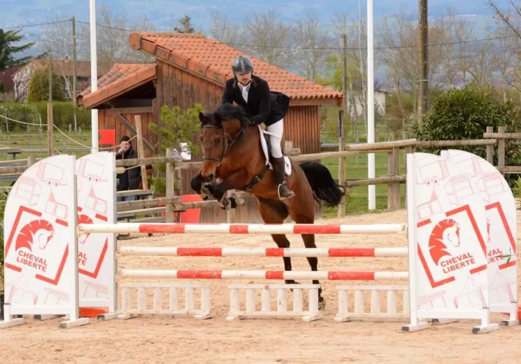 Les Ecuries d'Angelin vous propose la demi-pension pour chevaux à Saint-Étienne., Le Chambon Fougerolles, Les Ecuries d'Angelin