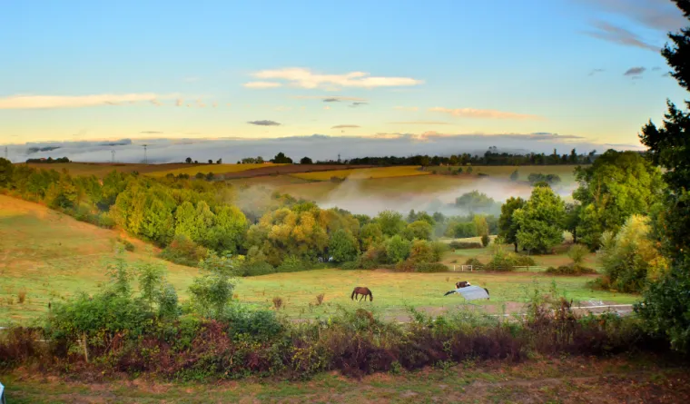 Actuellement, place disponible en pension pré à proximité de Saint Etienne., Le Chambon Fougerolles, Les Ecuries d'Angelin