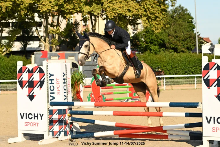 Cheval de sport à la vente aux Ecuries d'Angelin à Saint Etienne., Le Chambon Fougerolles, Les Ecuries d'Angelin