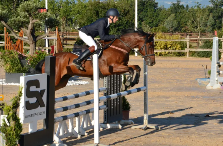 Cheval disponible en demi-pension aux Ecuries d'Angelin à Saint Etienne., Le Chambon Fougerolles, Les Ecuries d'Angelin