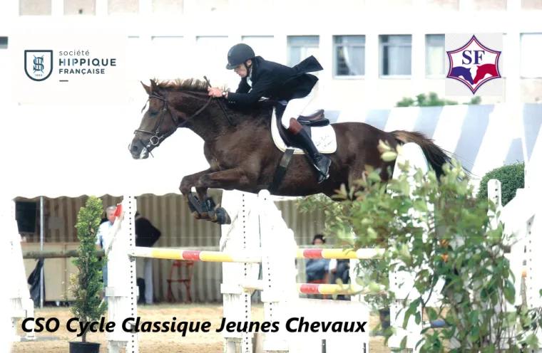 Oxygène d'Angelin en Cycle Classique Jeune Chevaux