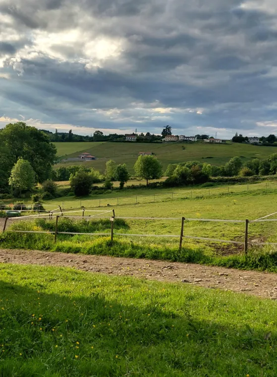 Les sorties paddocks
