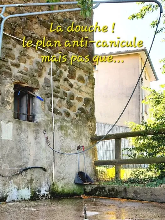 La douche, le passage incontournable pour les chevaux.
