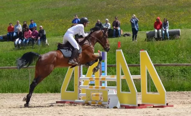 Les Ecuries d'Angelin vous propose la demi-pension pour chevaux à Saint-Étienne., Le Chambon Fougerolles, Les Ecuries d'Angelin