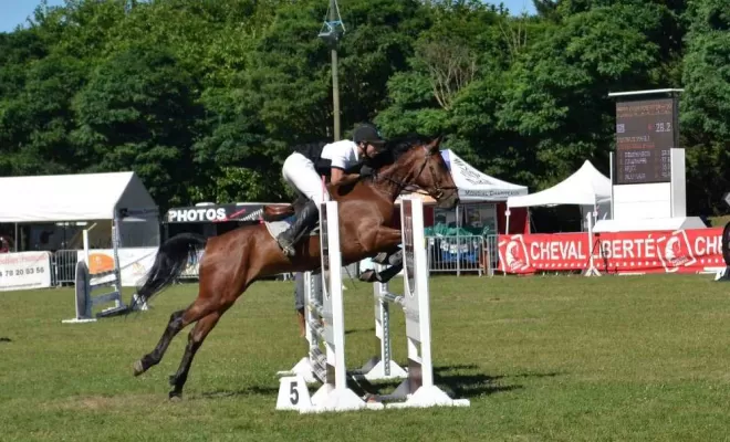 Les Ecuries d'Angelin vous propose la demi-pension pour chevaux à Saint-Étienne., Le Chambon Fougerolles, Les Ecuries d'Angelin