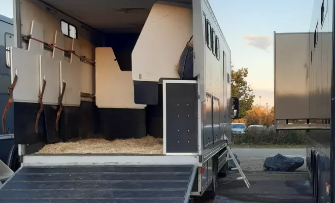 Avec Les Ecuries d'Angelin, c'est aussi le transport de chevaux., Le Chambon Fougerolles, Les Ecuries d'Angelin