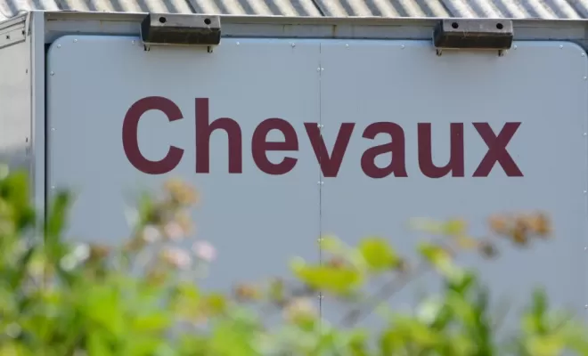 Avec Les Ecuries d'Angelin, c'est aussi le transport de chevaux., Le Chambon Fougerolles, Les Ecuries d'Angelin