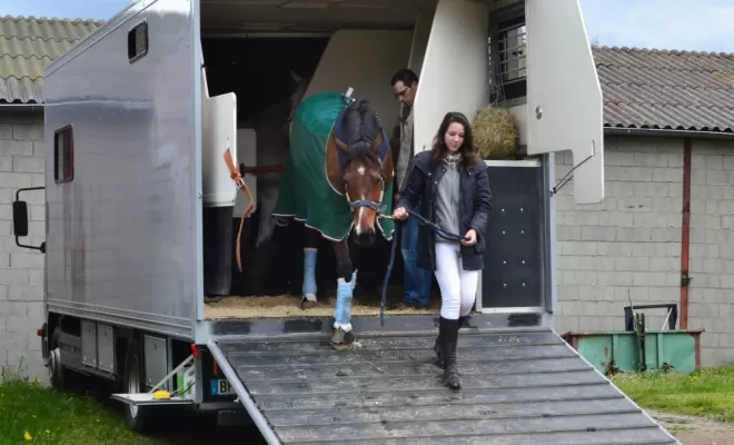 Avec Les Ecuries d'Angelin, c'est aussi le transport de chevaux., Le Chambon Fougerolles, Les Ecuries d'Angelin