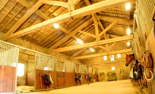 Place disponible en pension pour chevaux à Saint Etienne., Le Chambon Fougerolles, Les Ecuries d'Angelin