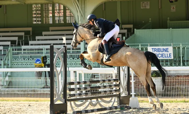 Cheval de sport à la vente aux Ecuries d'Angelin à Saint Etienne., Le Chambon Fougerolles, Les Ecuries d'Angelin