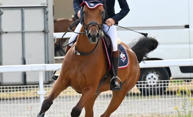 Finale Régionale SHF avec L'Impératrice Numénor., Le Chambon Fougerolles, Les Ecuries d'Angelin