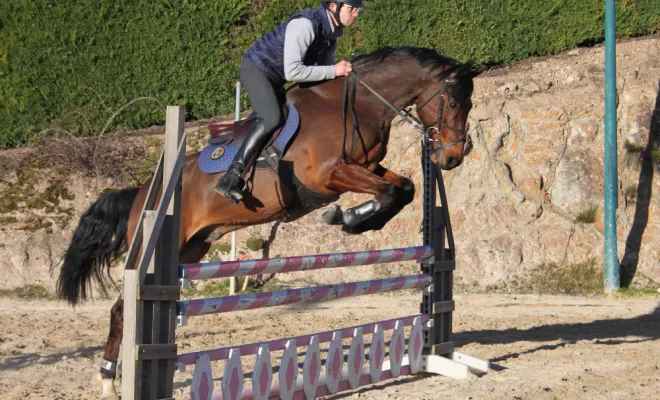 Cheval disponible en demi-pension aux Ecuries d'Angelin à Saint Etienne., Le Chambon Fougerolles, Les Ecuries d'Angelin