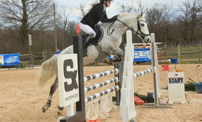 Poney de sport