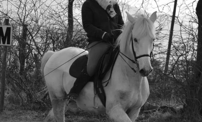 Le Dressage est une base de notre enseignement !, Le Chambon Fougerolles, Les Ecuries d'Angelin