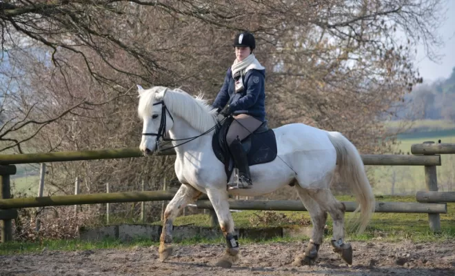 Le Dressage est une base de notre enseignement !, Le Chambon Fougerolles, Les Ecuries d'Angelin
