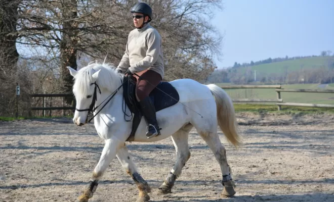 Le Dressage est une base de notre enseignement !, Le Chambon Fougerolles, Les Ecuries d'Angelin