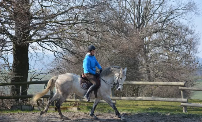 Le Dressage est une base de notre enseignement !, Le Chambon Fougerolles, Les Ecuries d'Angelin