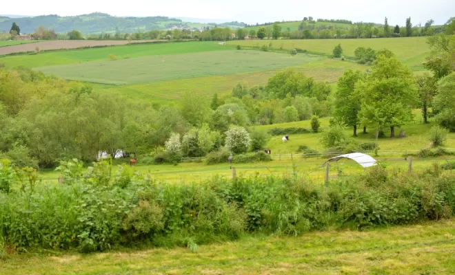 Le bonheur est dans le pré, Le Chambon Fougerolles, Les Ecuries d'Angelin
